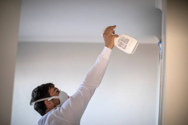 Trusted Missouri City, TX Mold Removal Experts