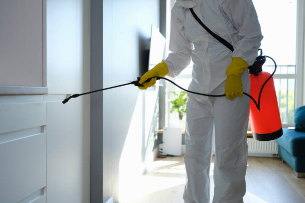 Best Commercial Mold Removal  in Missouri City, TX