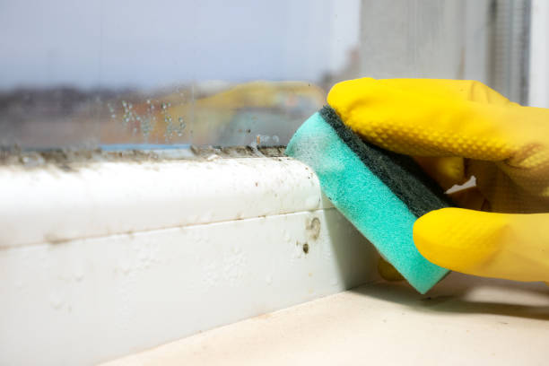 Certified Mold Removal in Missouri City, TX