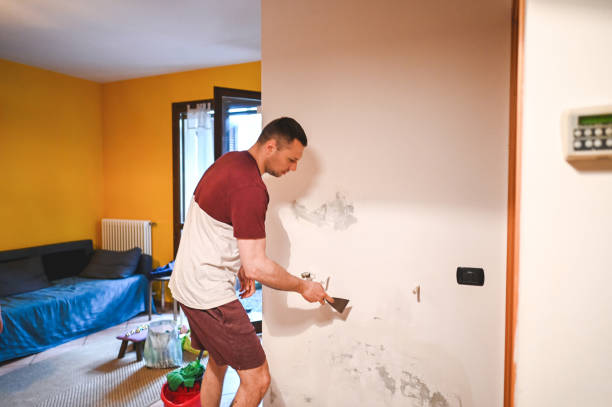 Best Attic Mold Removal  in Missouri City, TX
